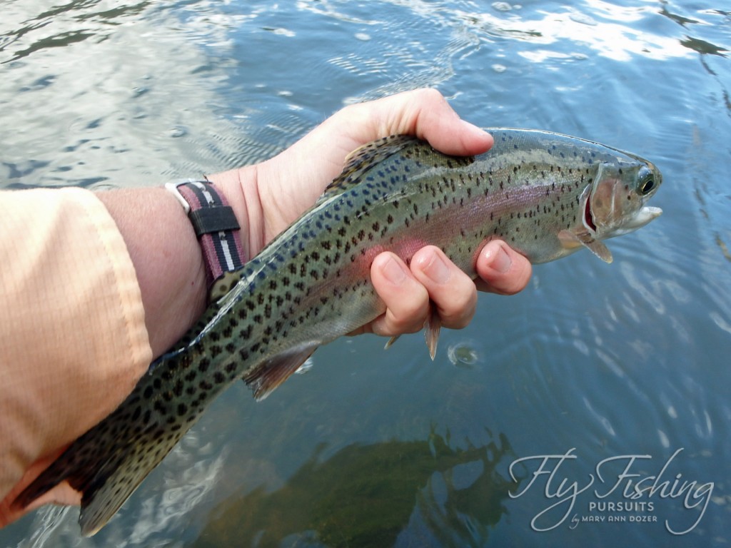 A small Crooked River Rainbow - with splendid dots and colors